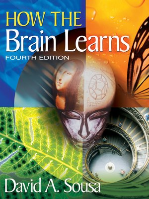 cover image of How the Brain Learns